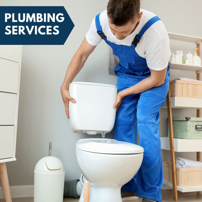 Plumbing Company in Clio, MI